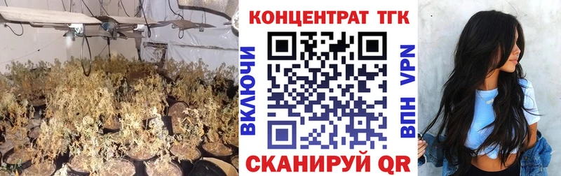Дистиллят ТГК гашишное масло магазин продажи Сальск