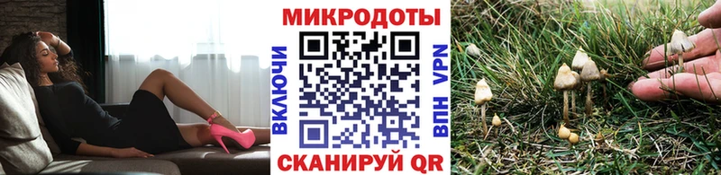 blacksprut Сальск Псилоцибиновые грибы ЛСД