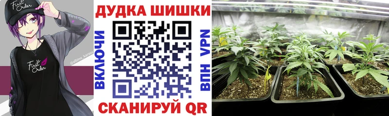 Бошки марихуана THC 21%  блэк спрут ТОР  Сальск 